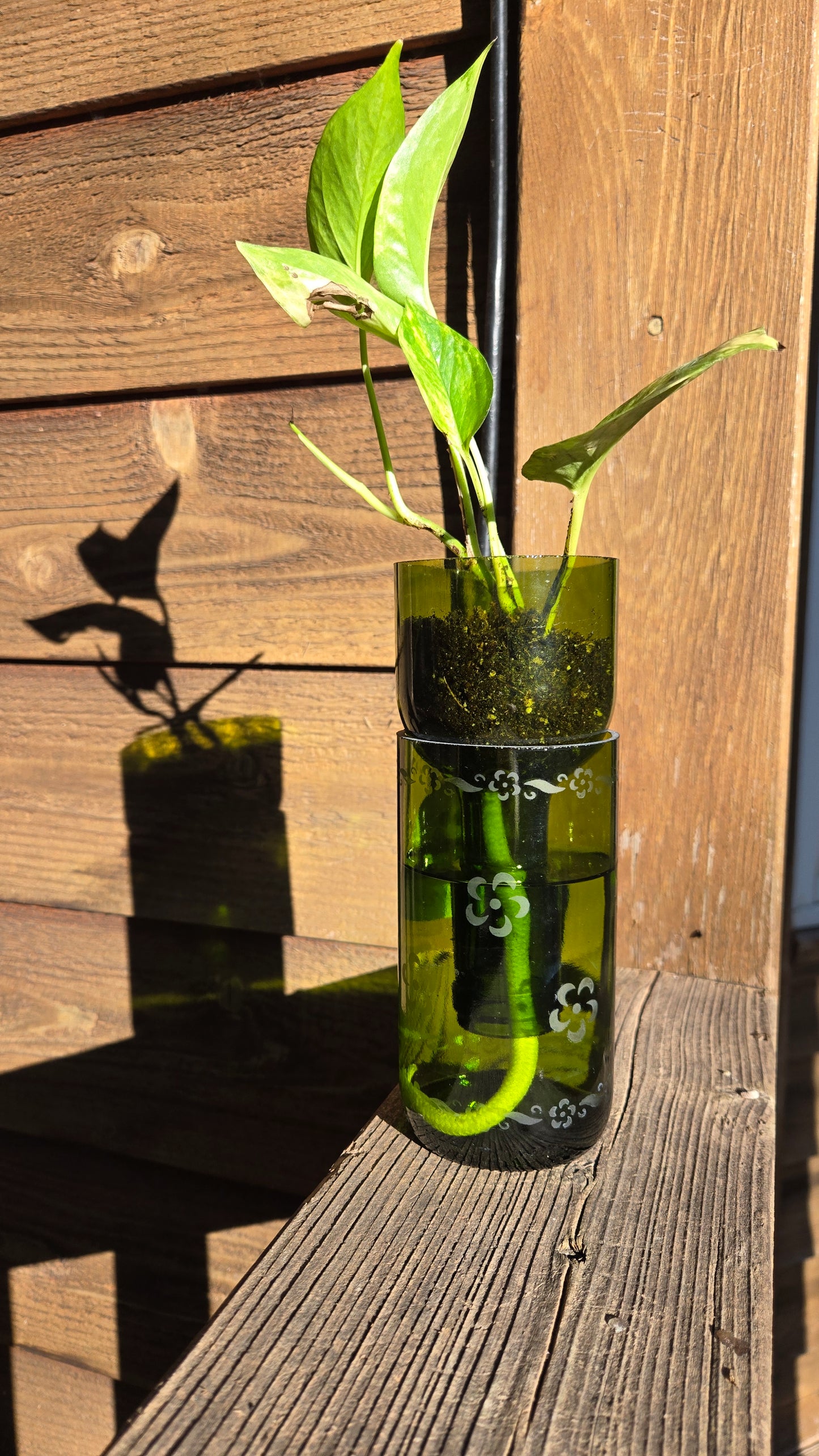 NEW:Wine bottle Self watering planter