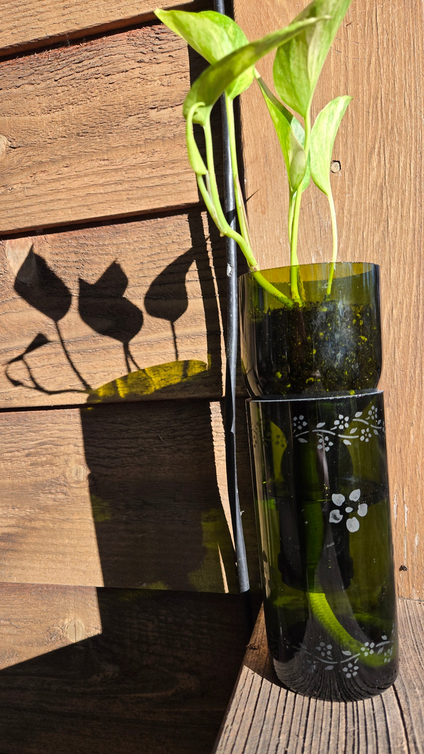 NEW:Wine bottle Self watering planter