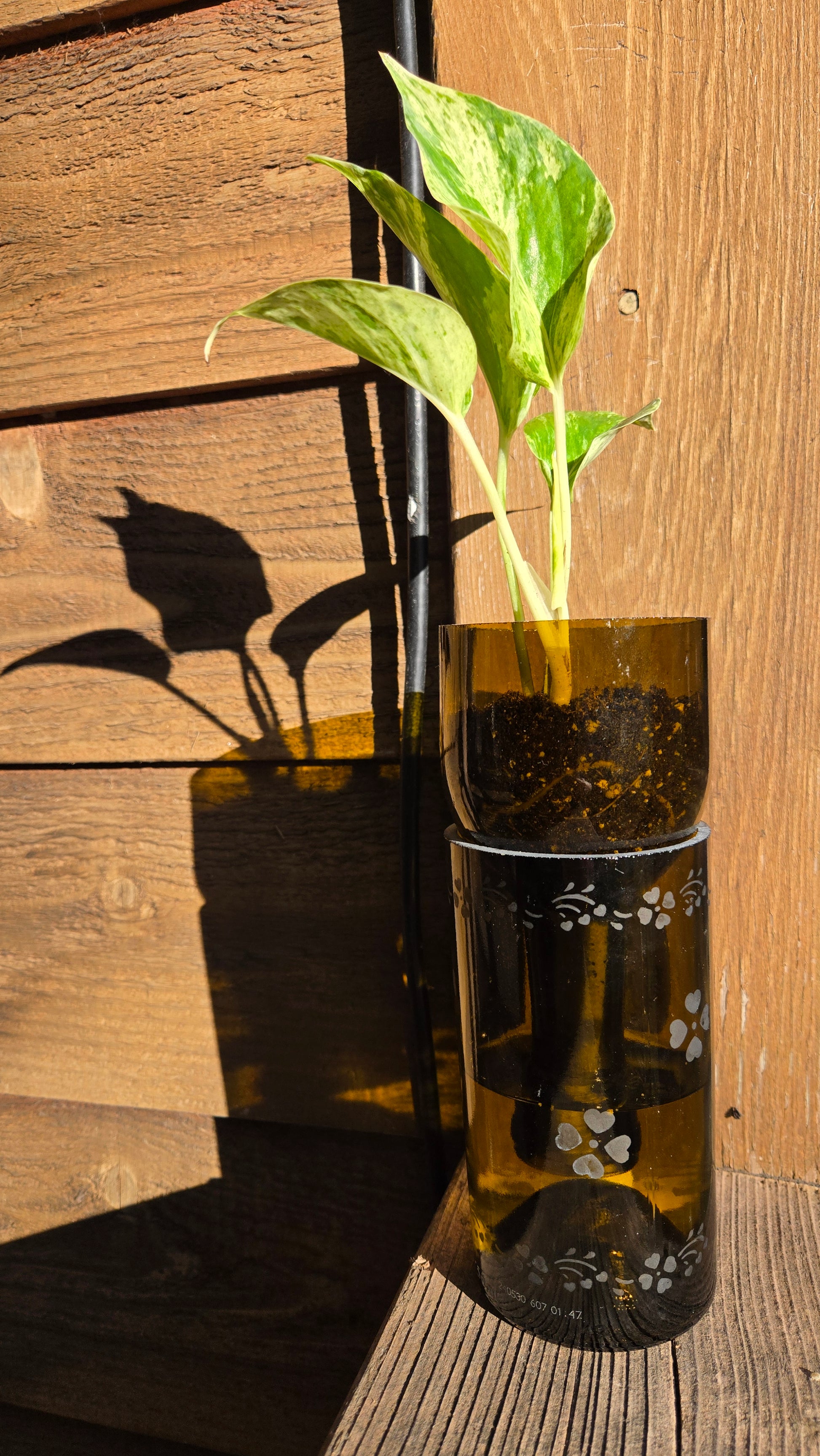 wine bottle self watering planter Glasshouse Planter